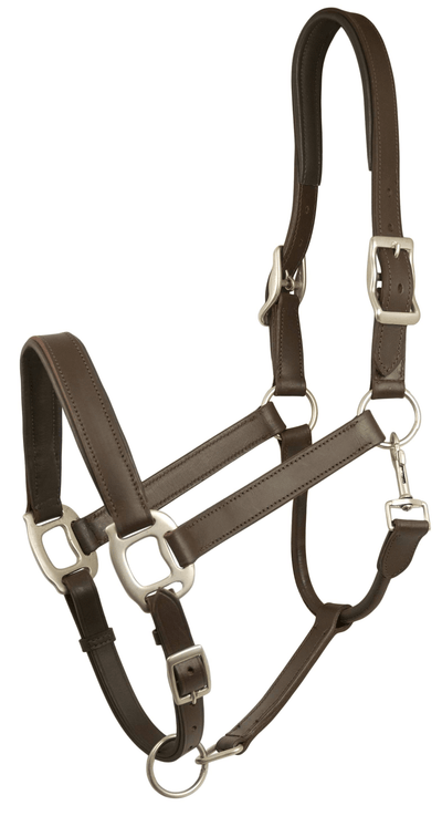 Gatsby Adjustable Padded Leather Halter with Nickel-Plated Hardware