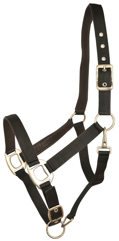 Gatsby Premium Leather-Padded Adjustable Nylon Halter