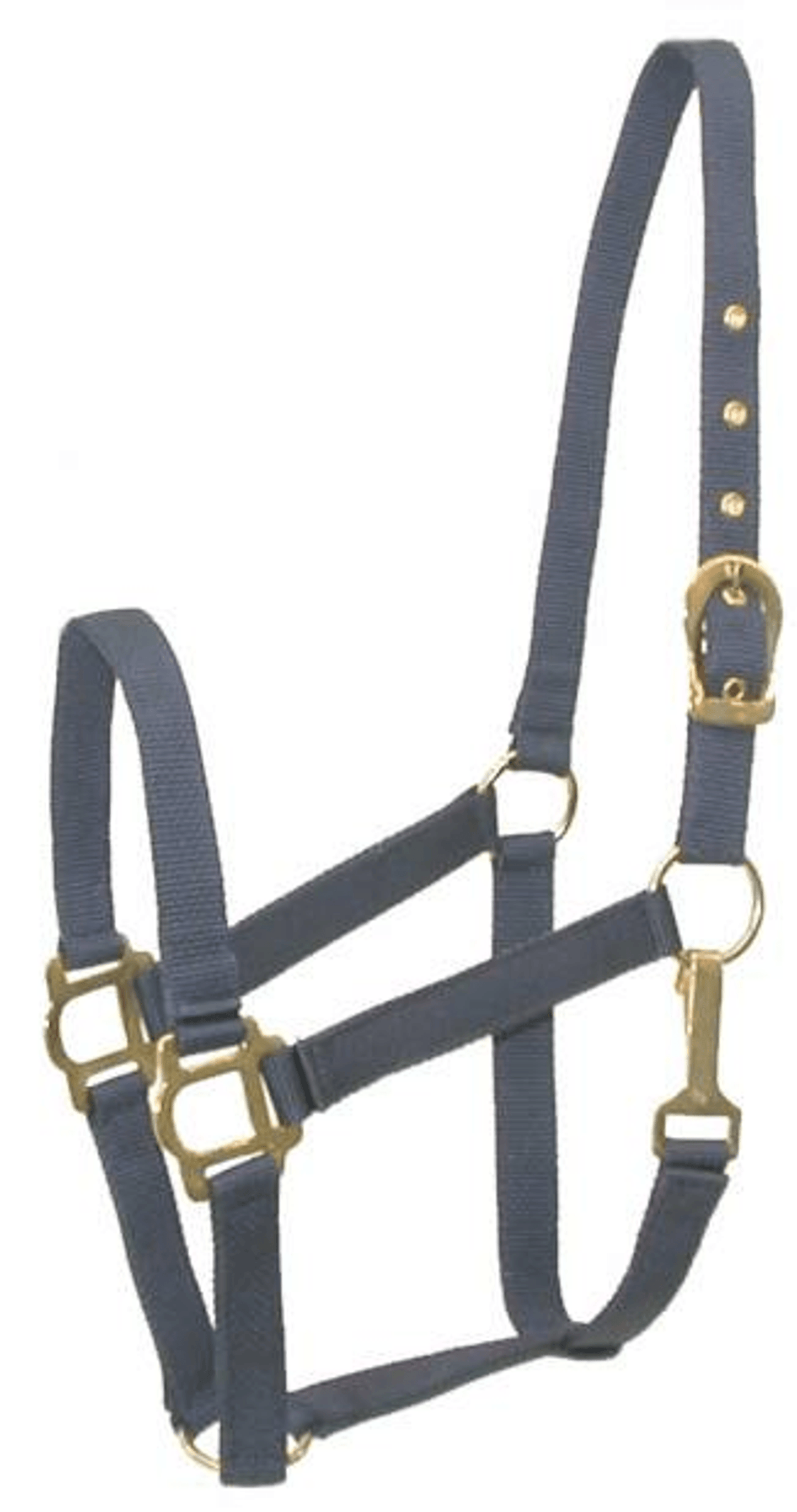 Gatsby Classic Nylon Halter with Brass Plated Hardware