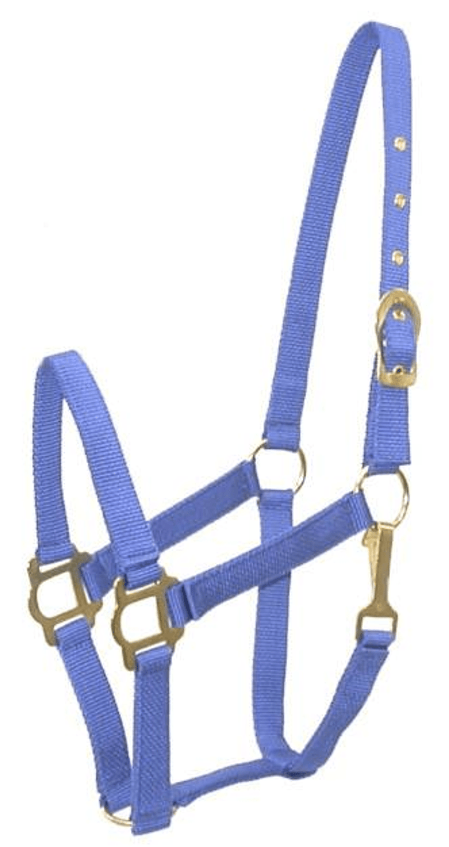 Gatsby Classic Nylon Halter with Brass Plated Hardware