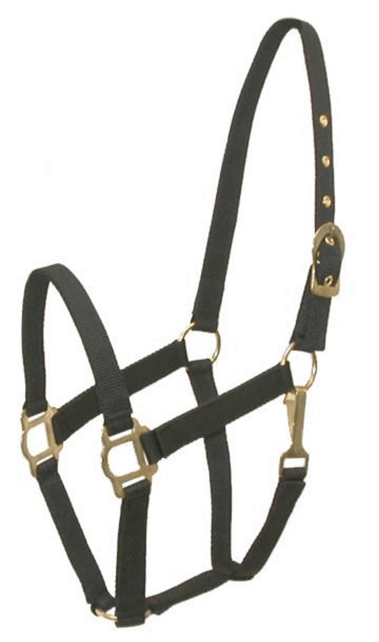 Gatsby Classic Nylon Halter with Brass Plated Hardware