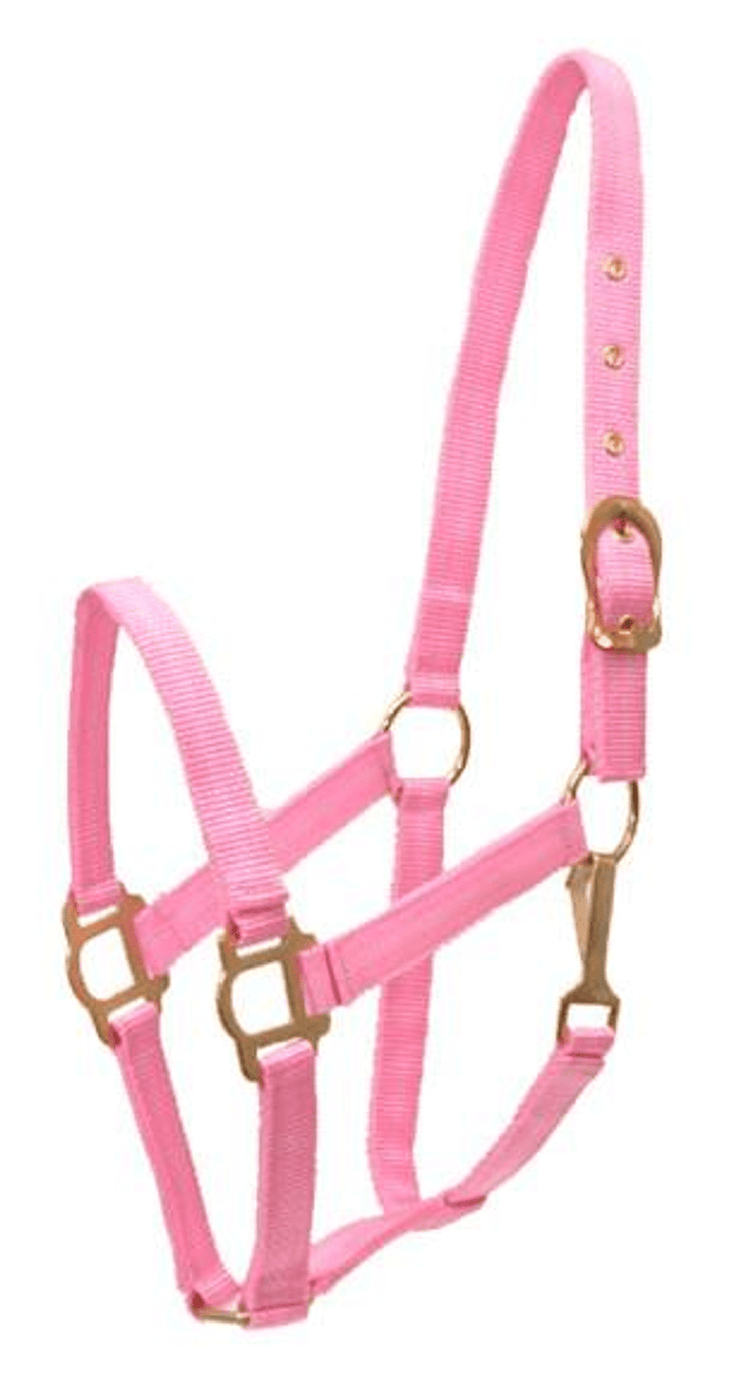 Gatsby Classic Nylon Halter with Brass Plated Hardware