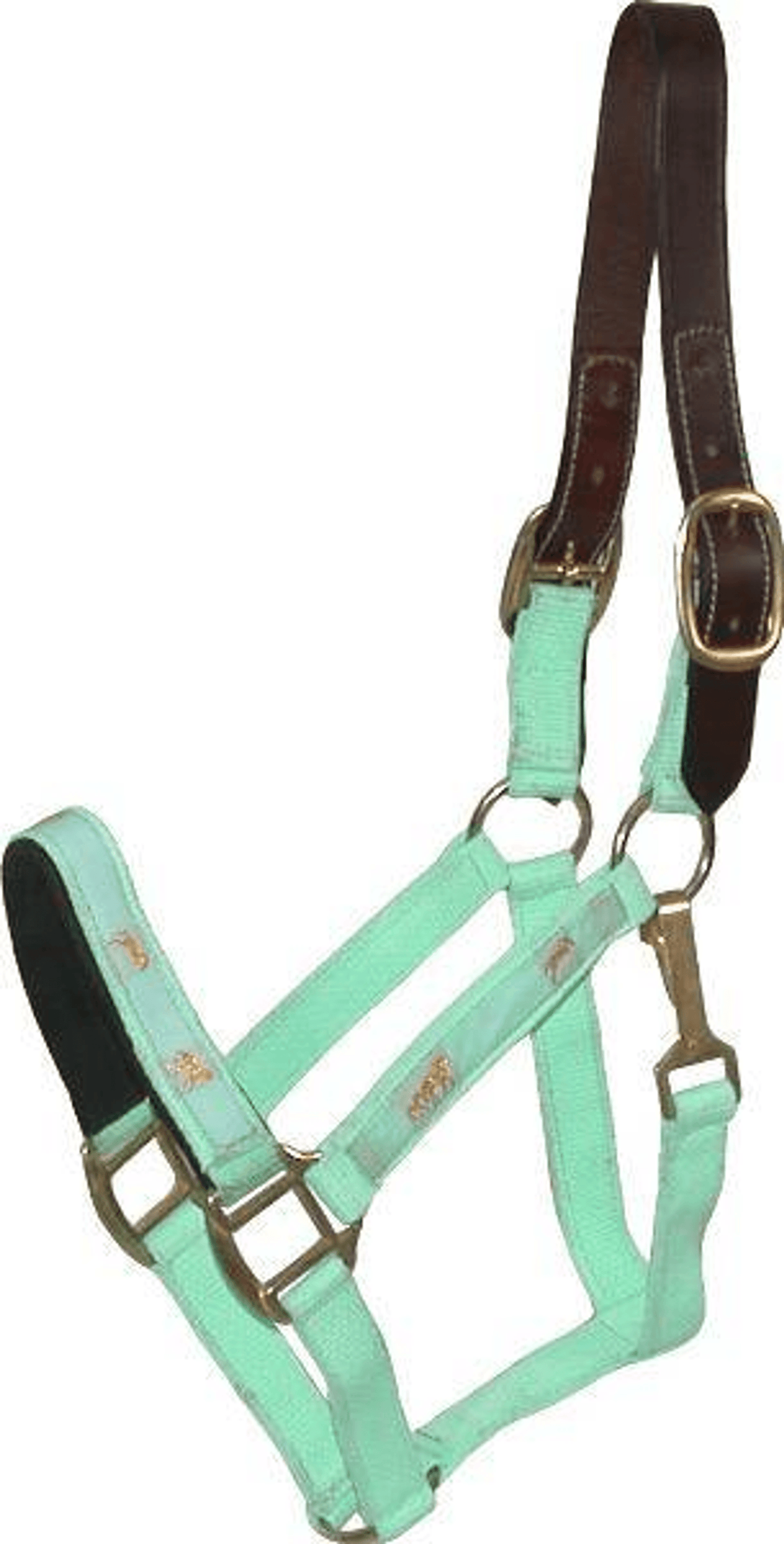 Gatsby Nylon Breakaway Halter with Durable Leather Crown