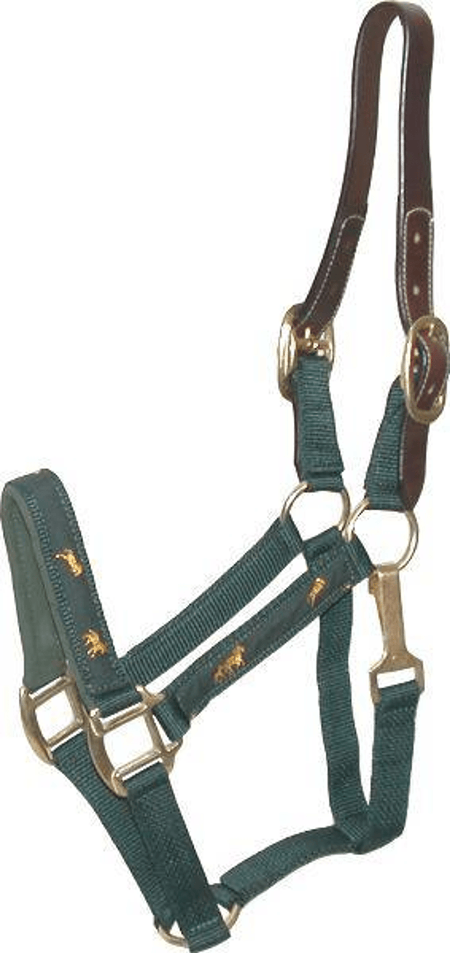 Gatsby Nylon Breakaway Halter with Durable Leather Crown