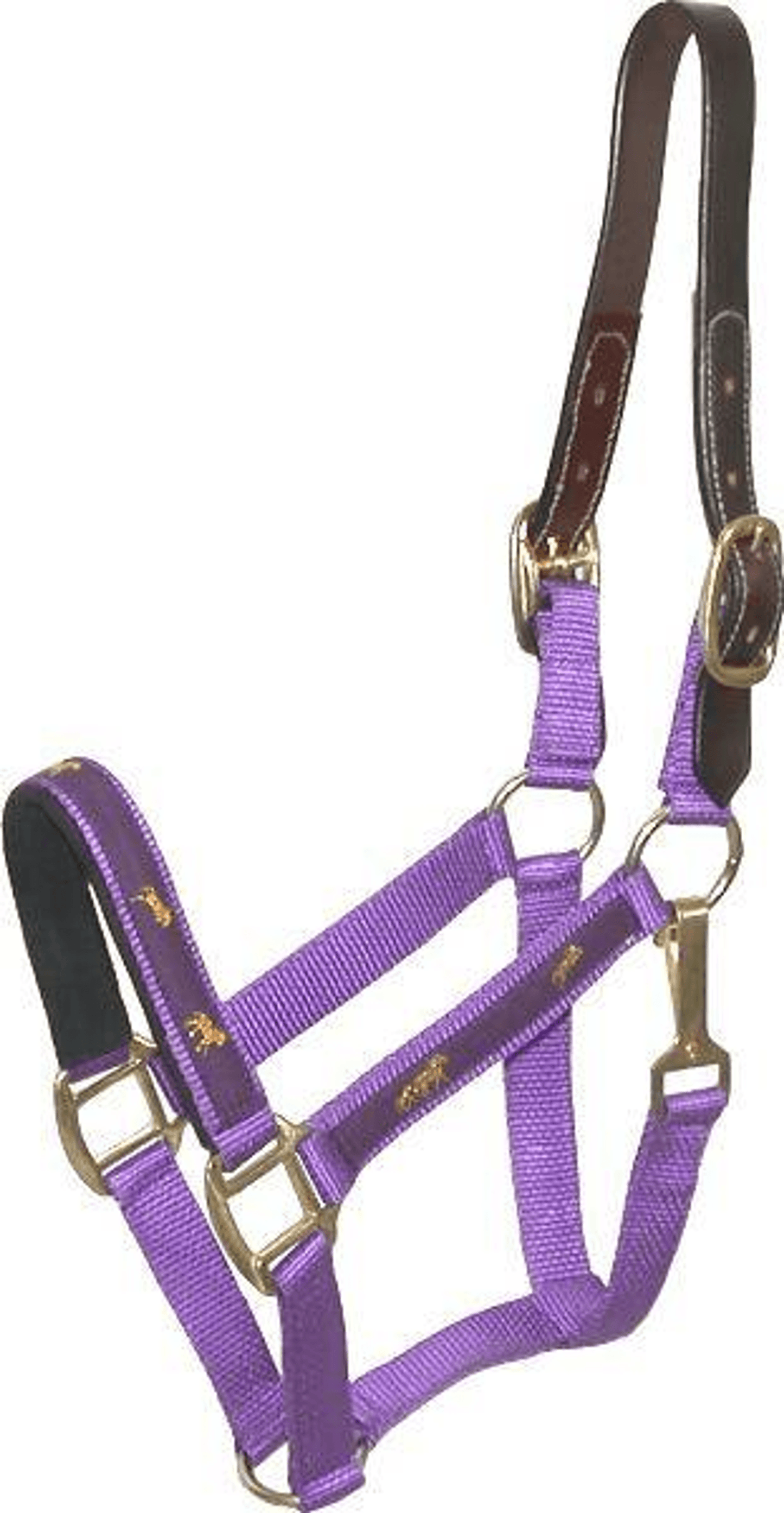 Gatsby Nylon Breakaway Halter with Durable Leather Crown