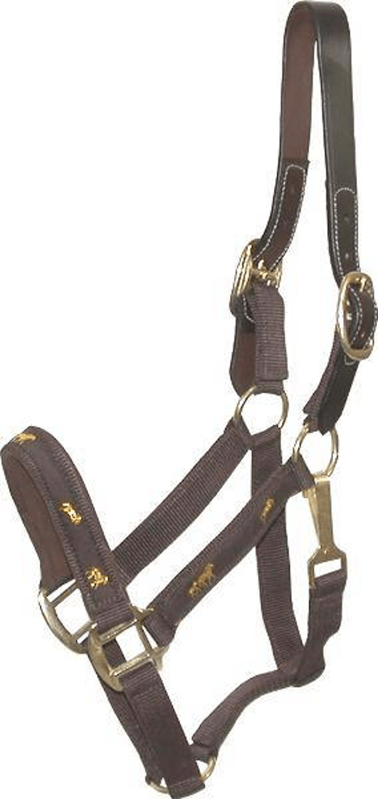 Gatsby Nylon Breakaway Halter with Durable Leather Crown