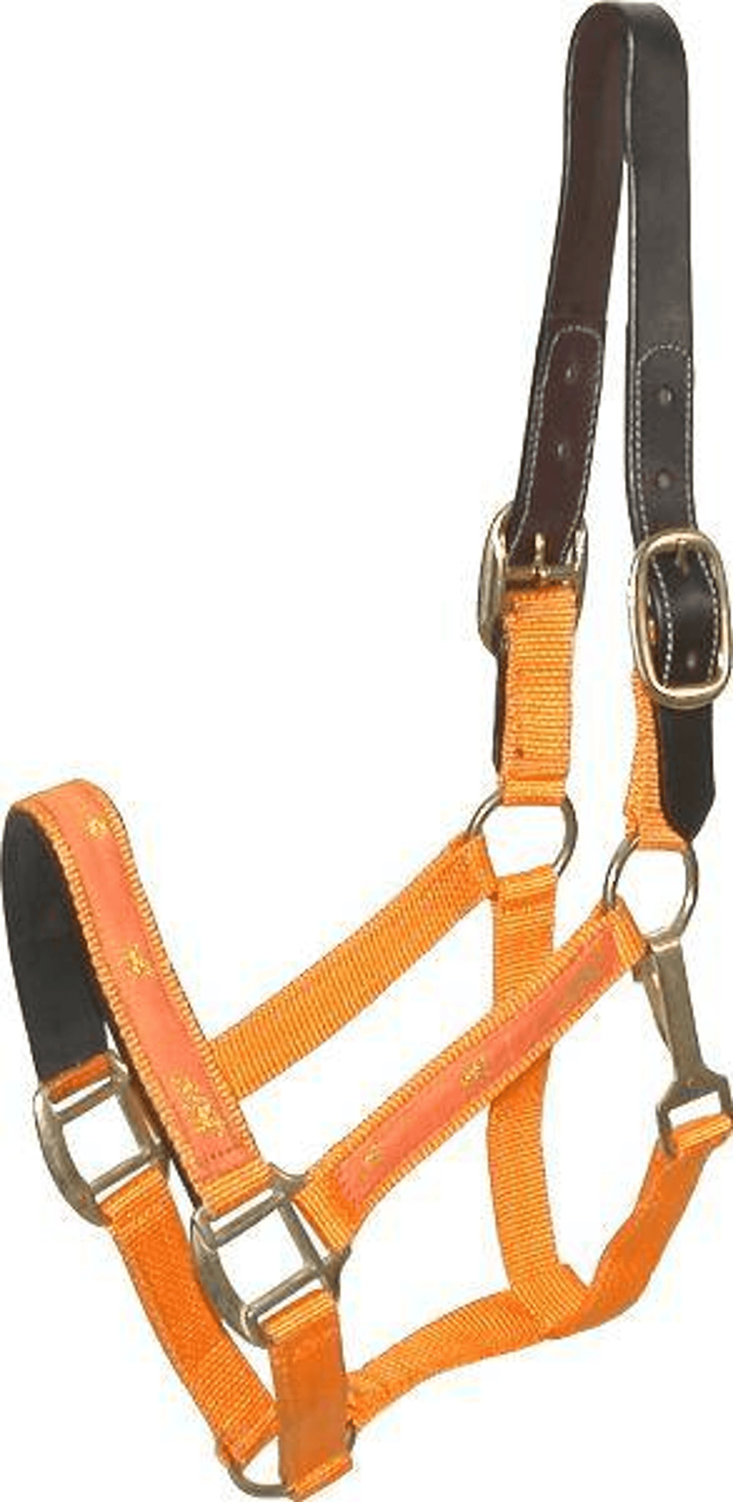 Gatsby Nylon Breakaway Halter with Durable Leather Crown