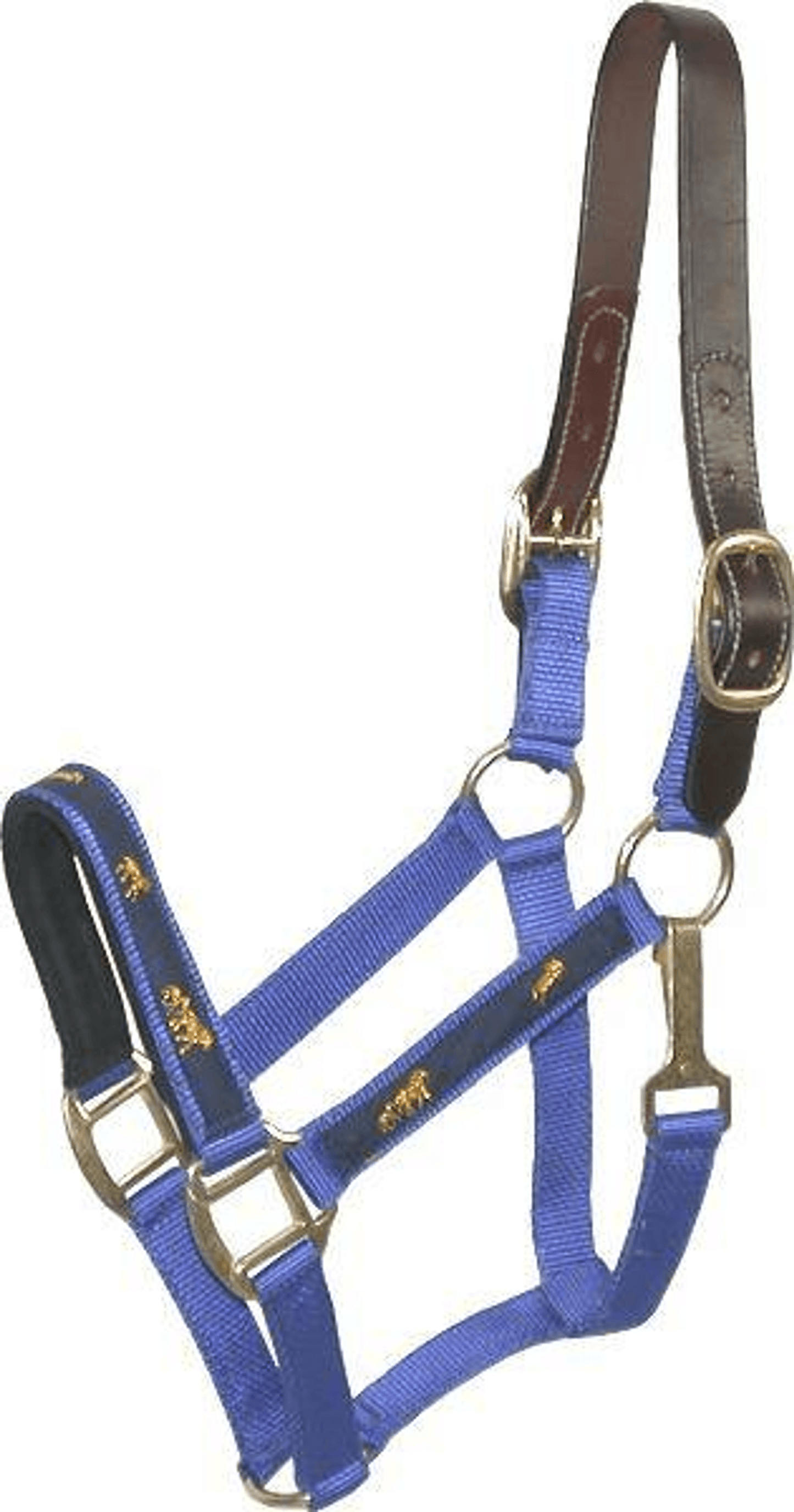 Gatsby Nylon Breakaway Halter with Durable Leather Crown