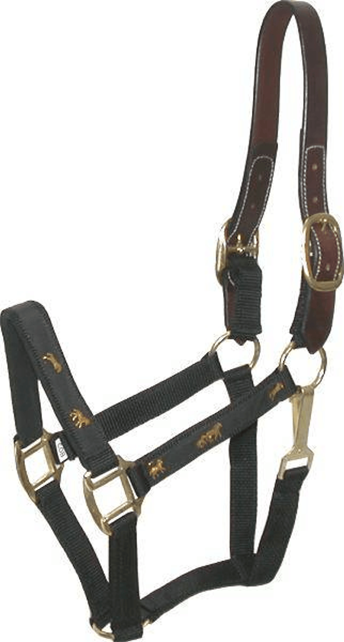 Gatsby Nylon Breakaway Halter with Durable Leather Crown