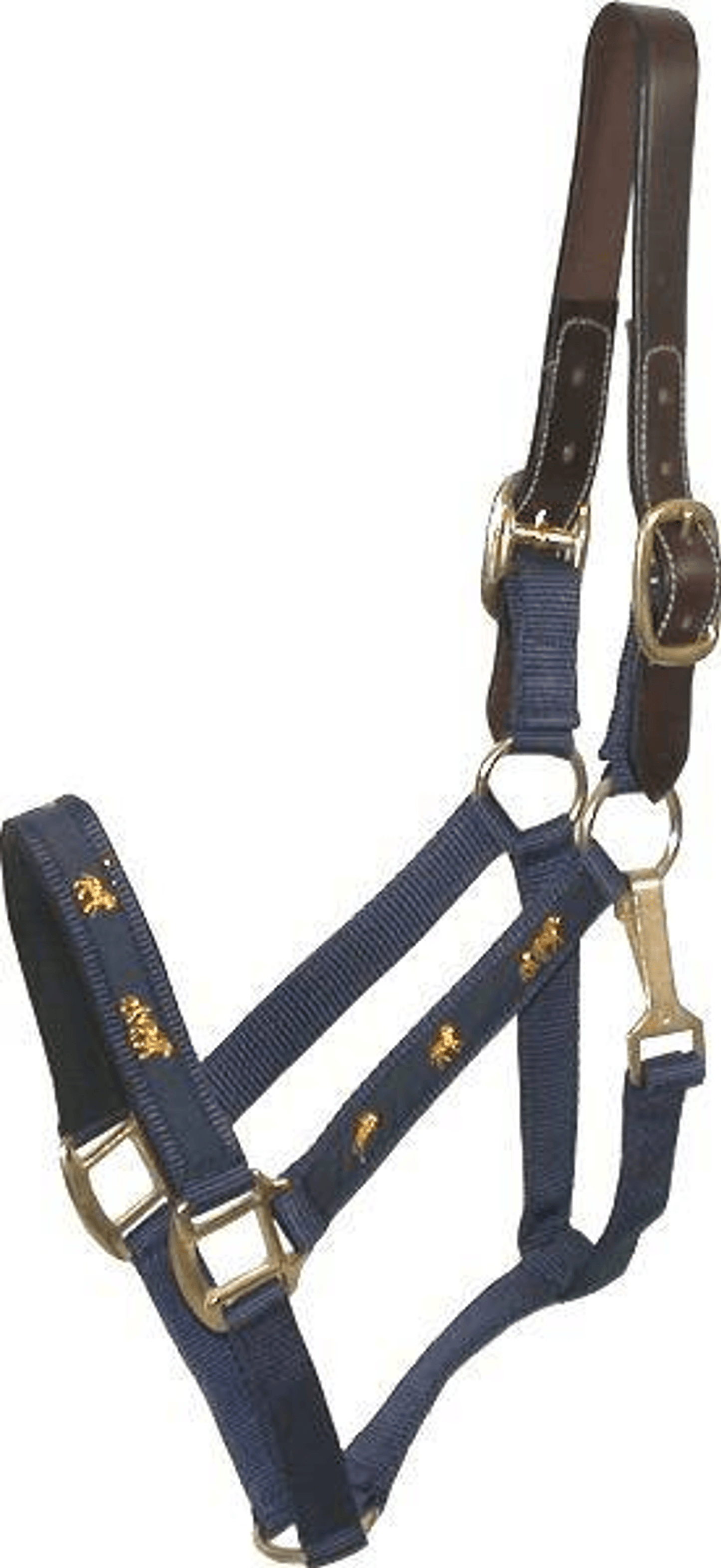 Gatsby Nylon Breakaway Halter with Durable Leather Crown