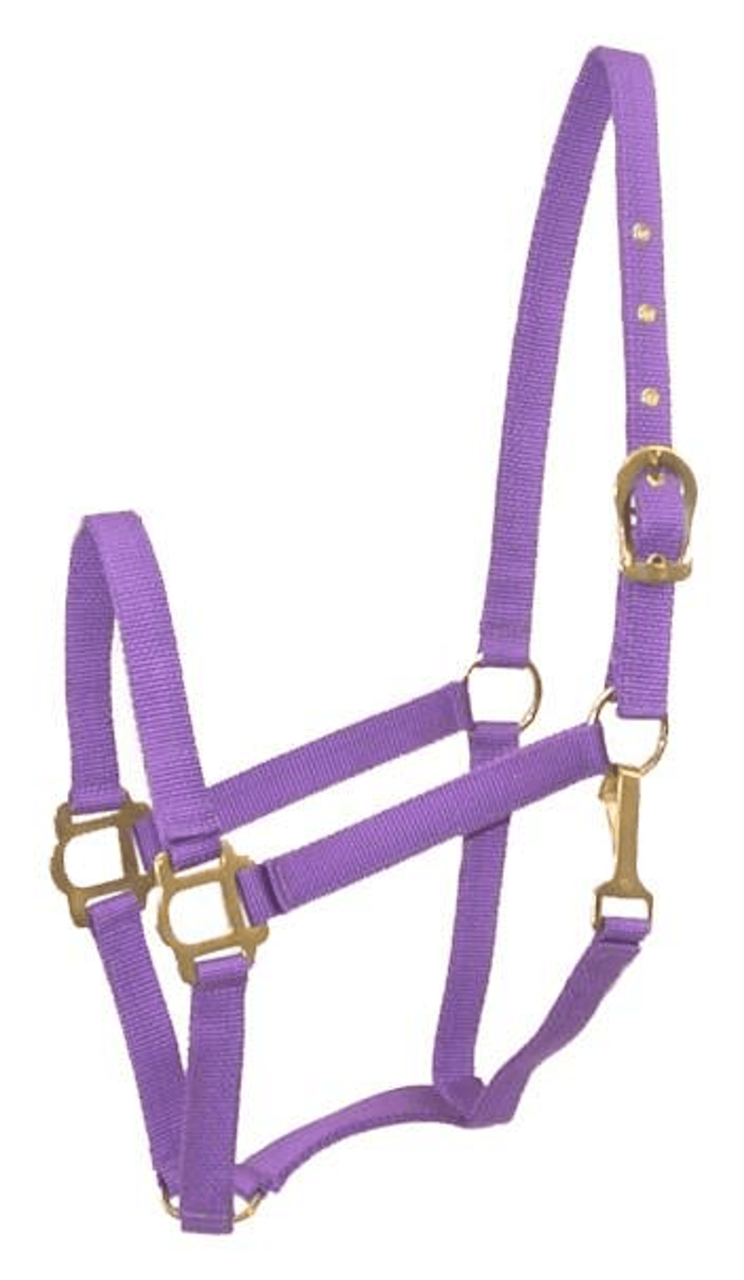 Gatsby Classic Nylon Halter with Brass Plated Hardware