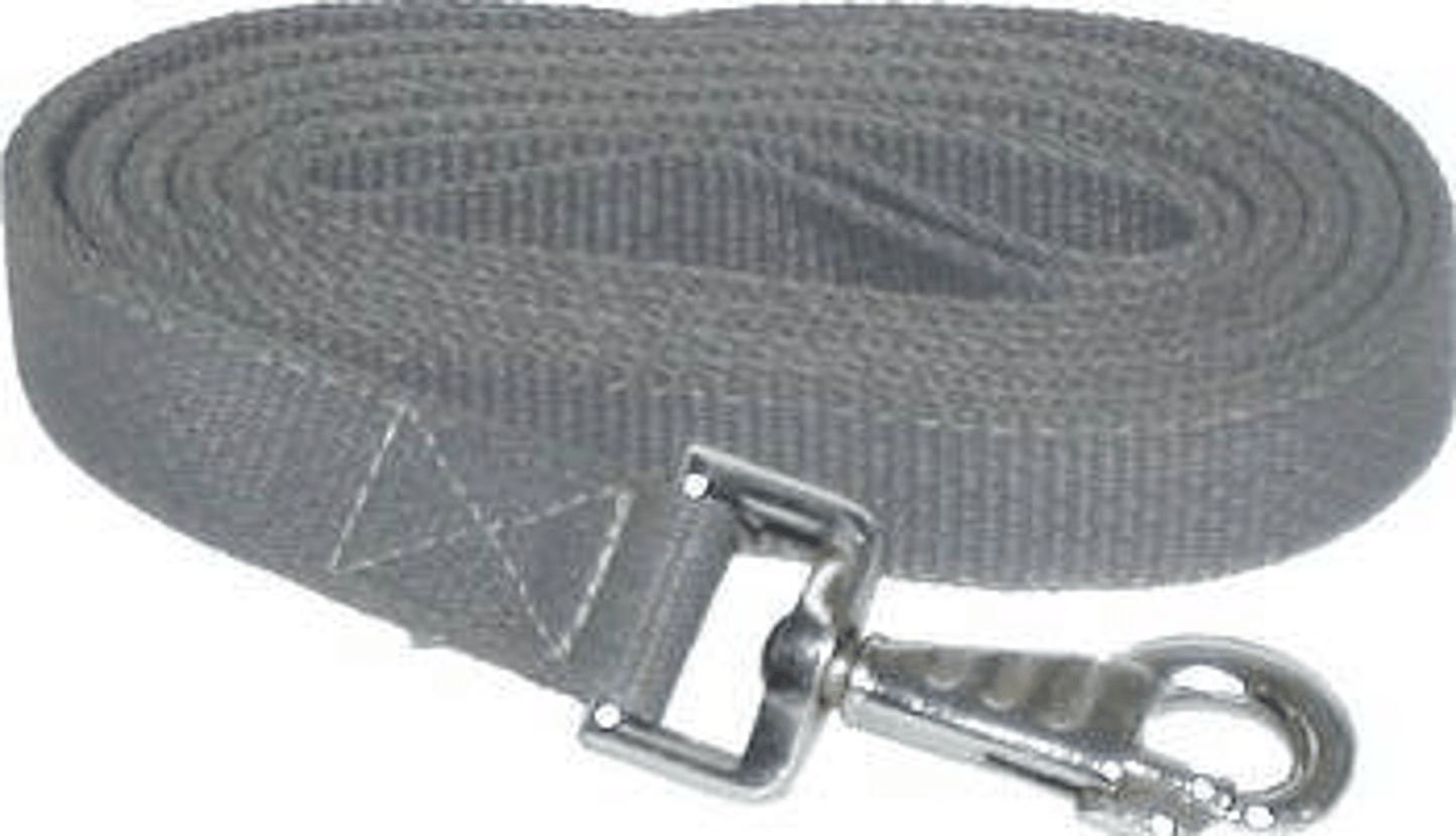 Gatsby 2-Ply Nylon Lead with Snap End