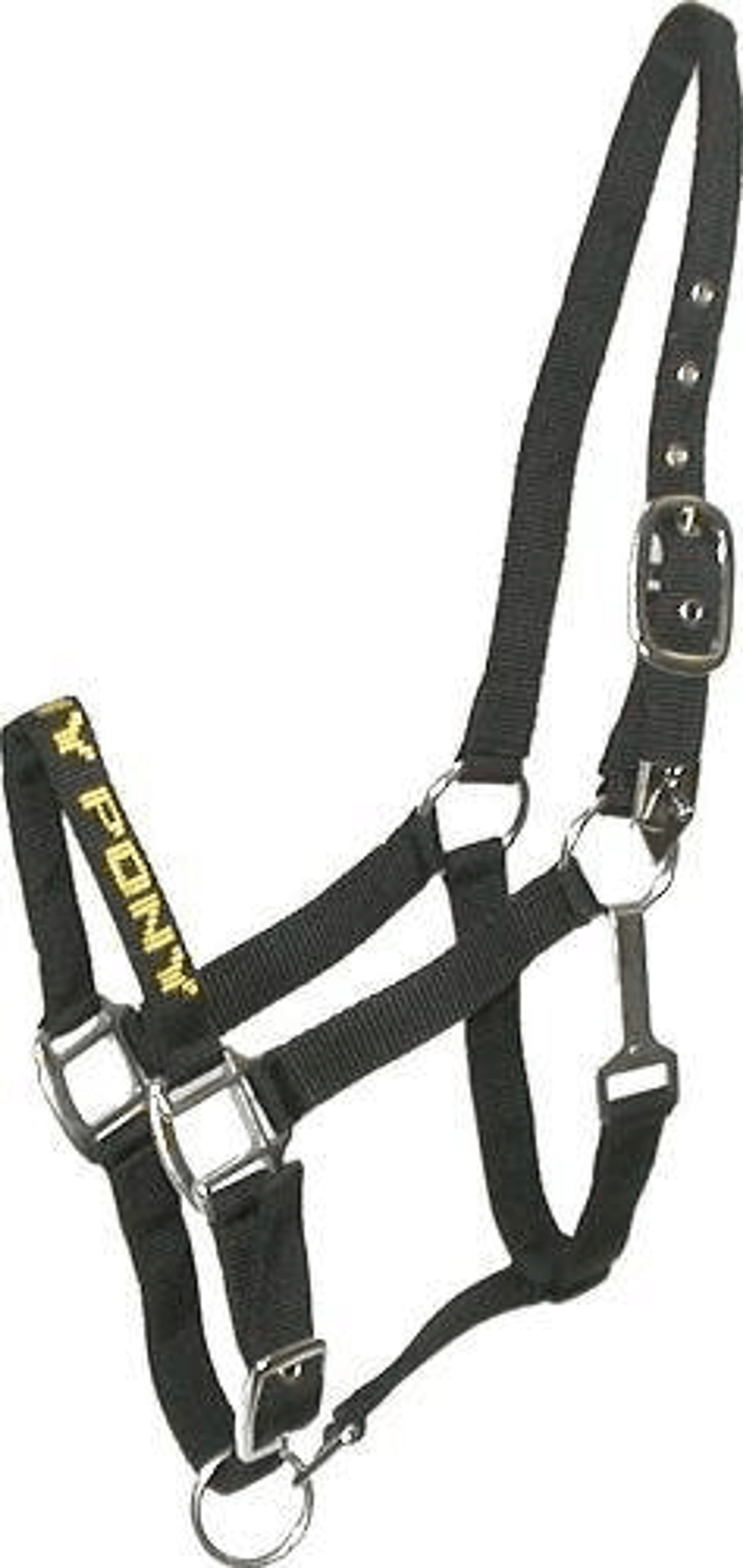 Gatsby I LOVE MY PONY Stylish Nylon Halter