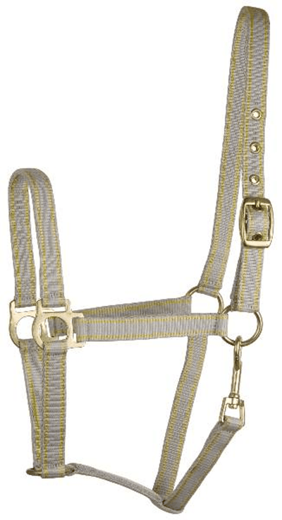 Gatsby Classic 2-Tone Nylon Halter with Brass Hardware