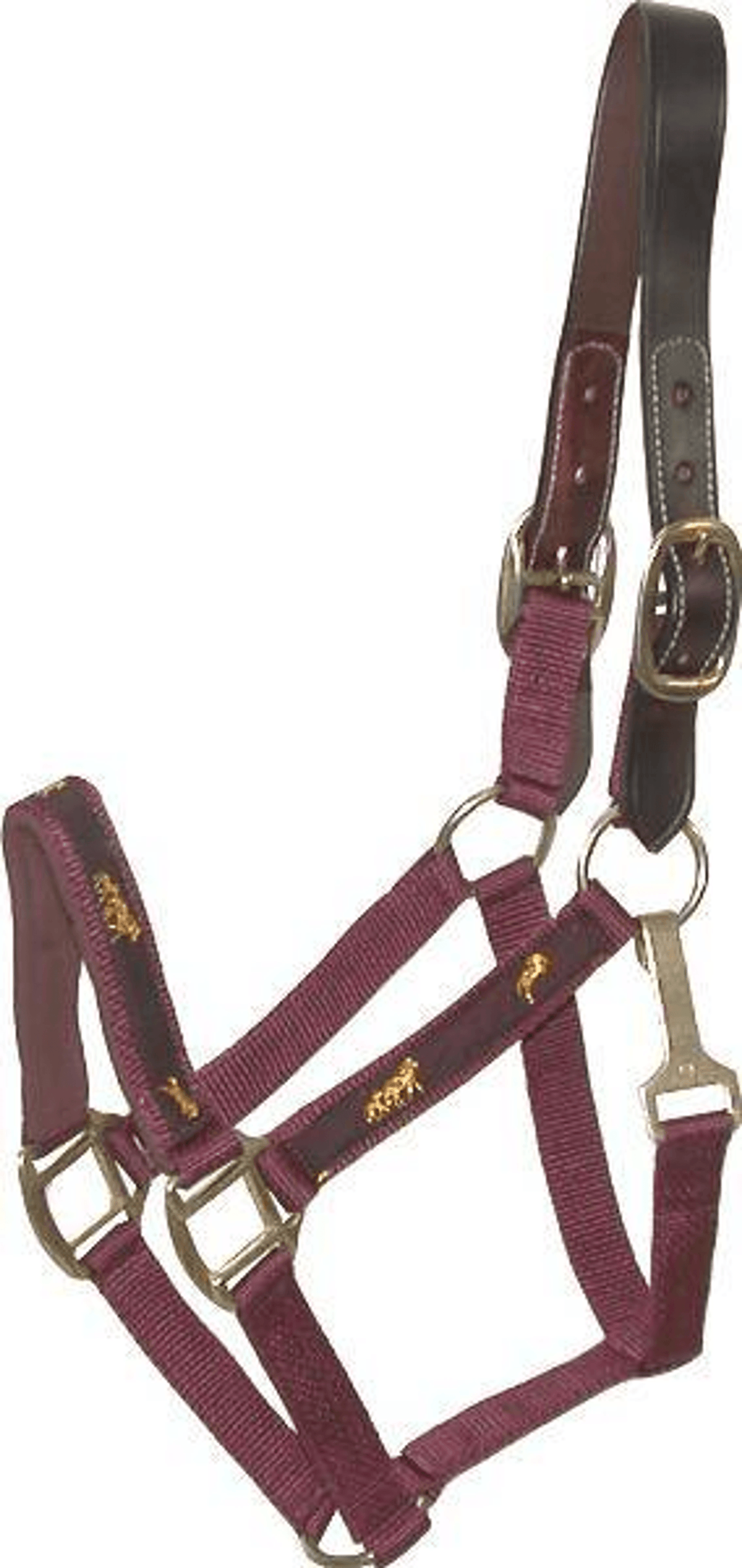 Gatsby Nylon Breakaway Halter with Durable Leather Crown