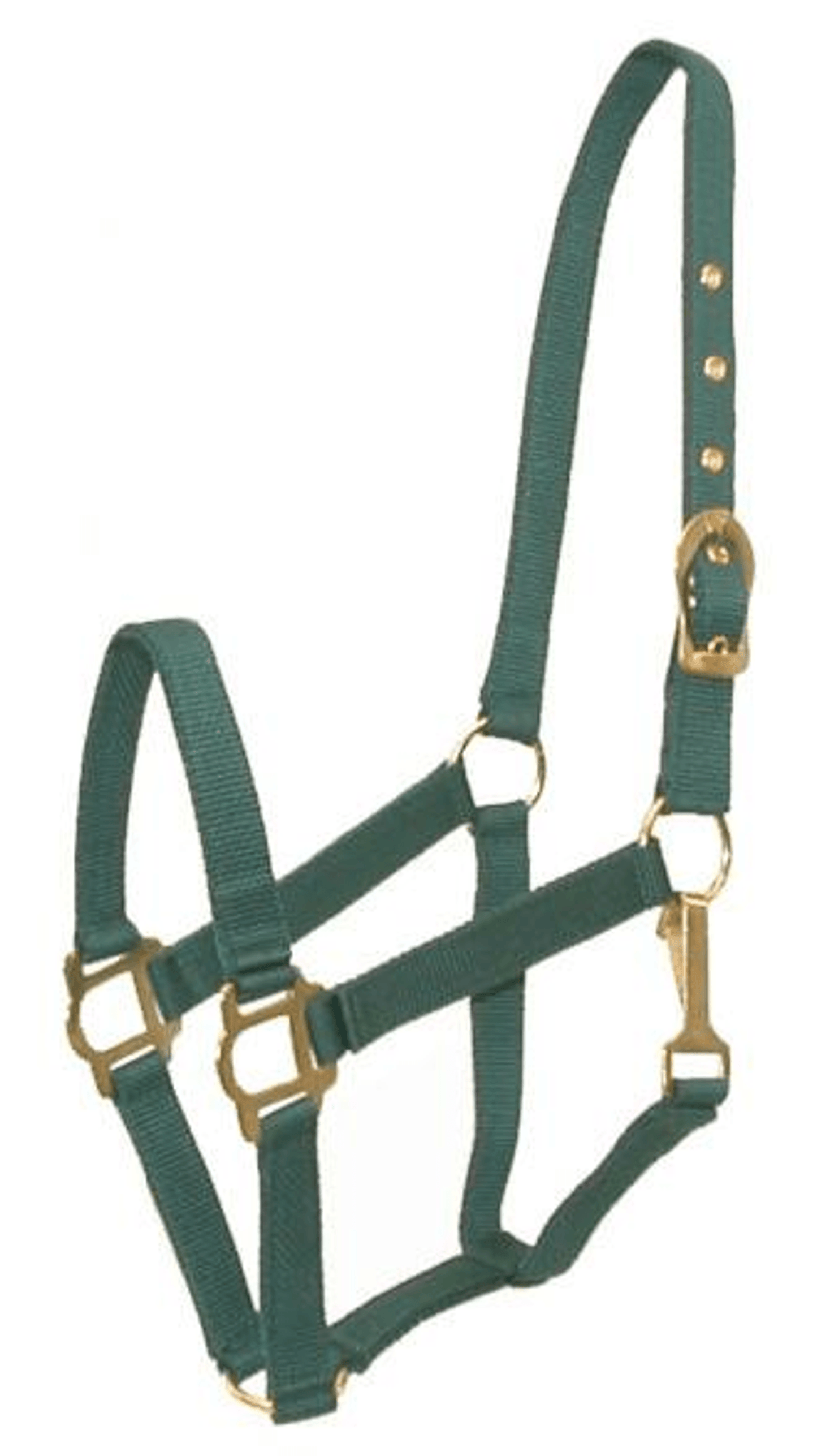 Gatsby Classic Nylon Halter with Brass Plated Hardware