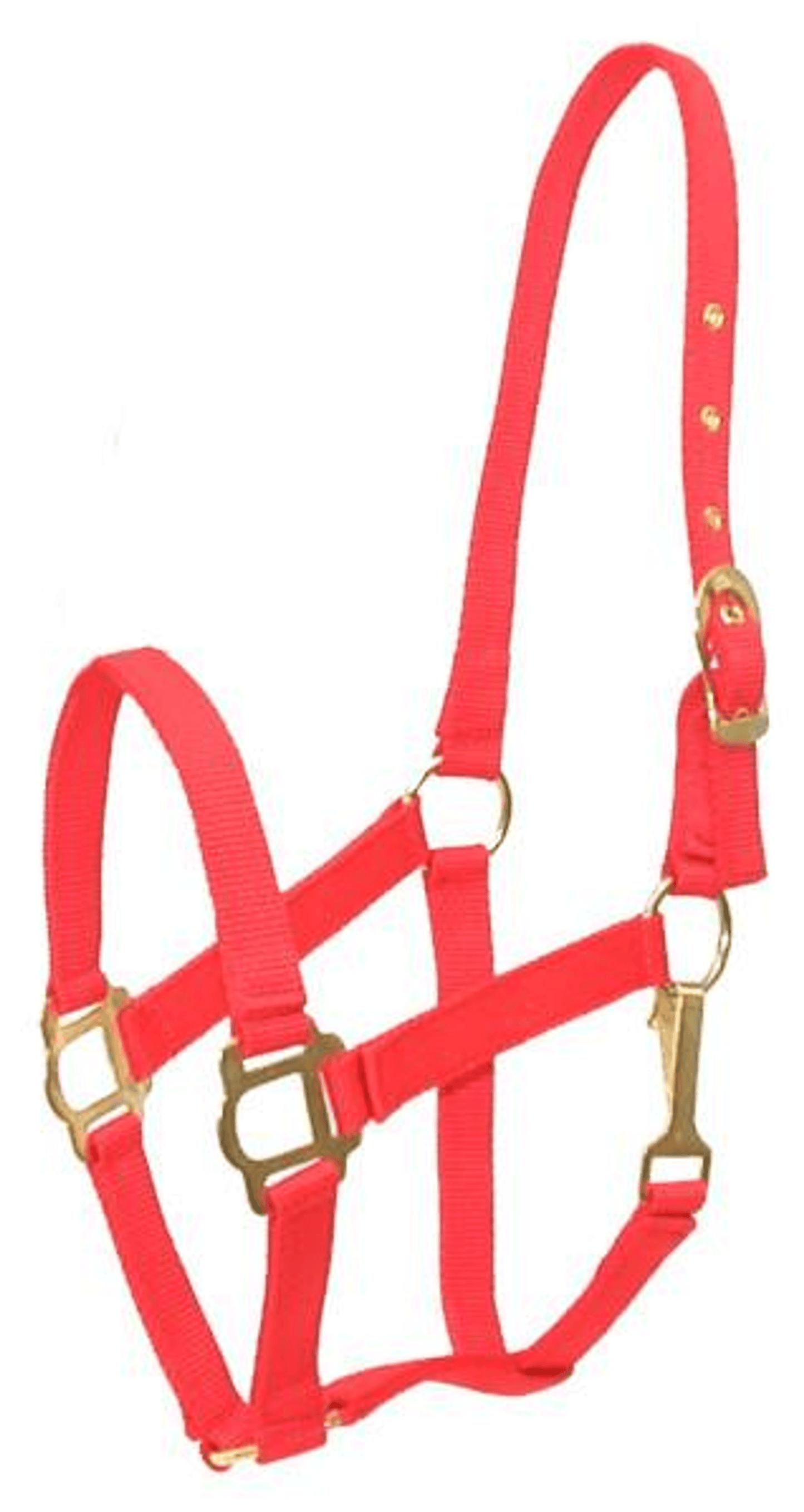 Gatsby Classic Nylon Halter with Brass Plated Hardware