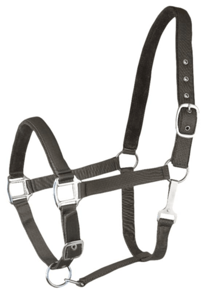 Gatsby Suede Padded Nylon Halter for Enhanced Equine Comfort