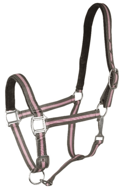 Gatsby Two-Tone Suede Padded Nylon Halter