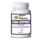 Endo Support Capsules for Optimal Pet Wellness