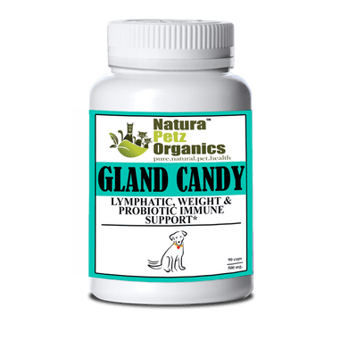 Gland Candy Omega 3 & 6 Superfood for Lymphatic and Immune Health