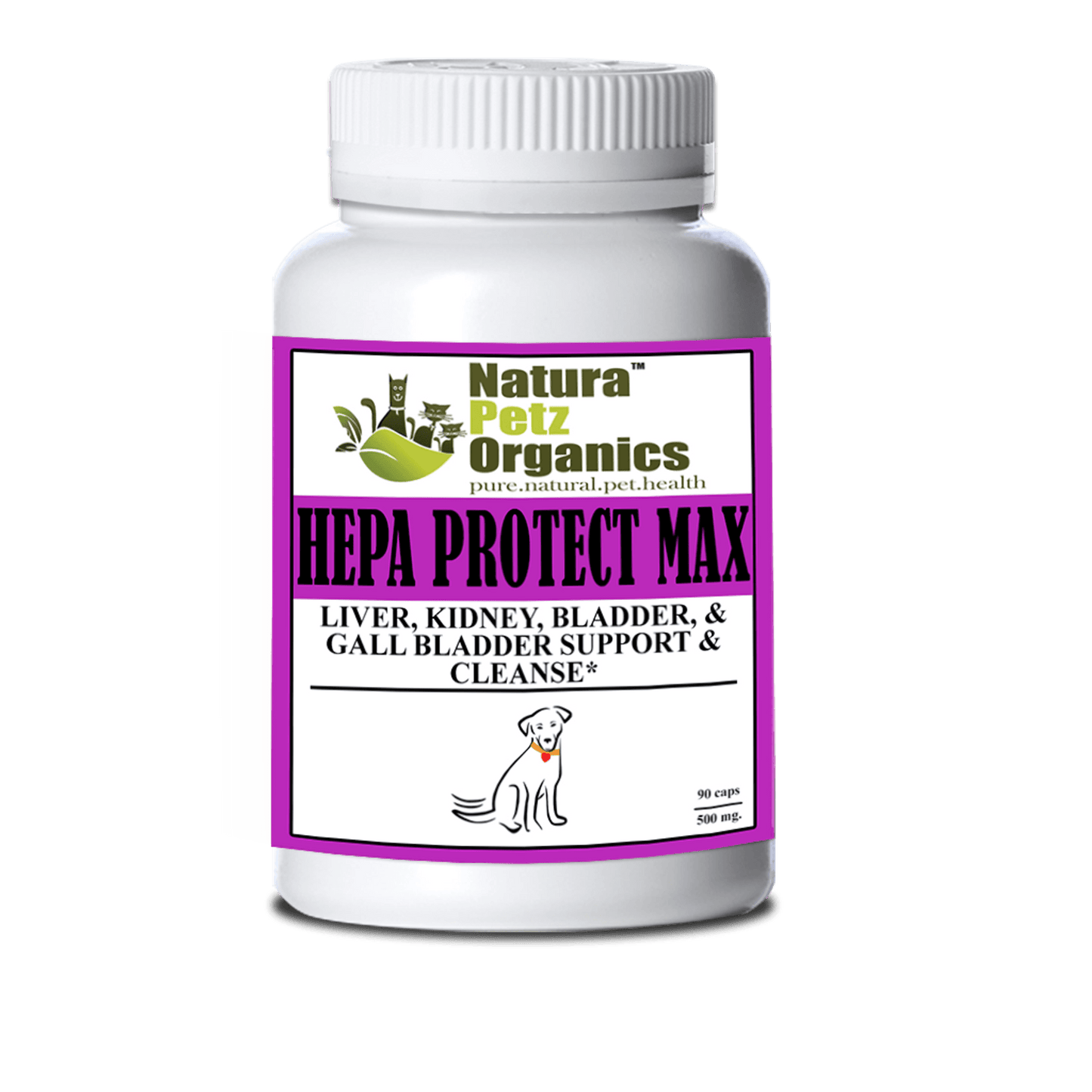 Hepa Protect Max Capsules for Liver and Kidney Health Support