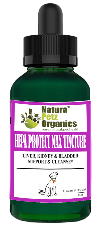 Hepa Protect Max Tincture for Comprehensive Liver, Kidney, and Bladder Support