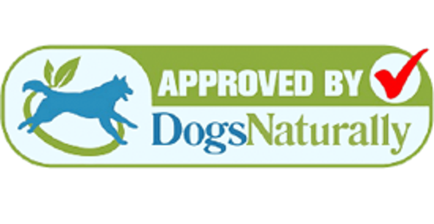 Holistic Probiotic Support for Canine and Feline Diabetes Management