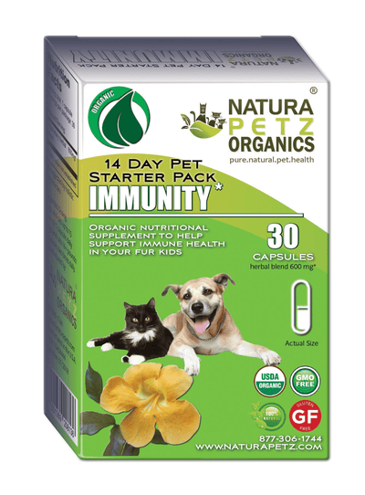 Immunity Booster Pack for Dogs & Cats