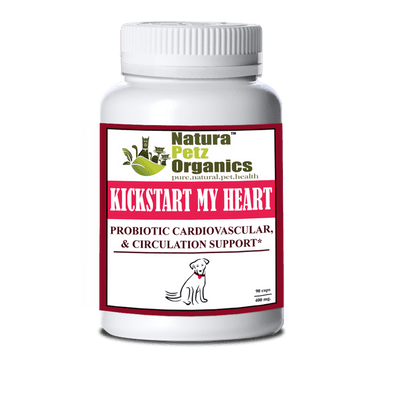 Kick Start My Heart: Probiotic Support for Heart Health and Circulation