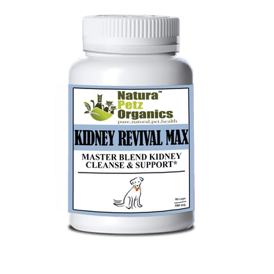 Kidney Revival Max: Advanced Kidney Support for Senior Pets