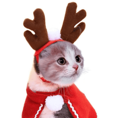 Festive Holiday Cloak for Cats and Dogs with Reindeer Hat