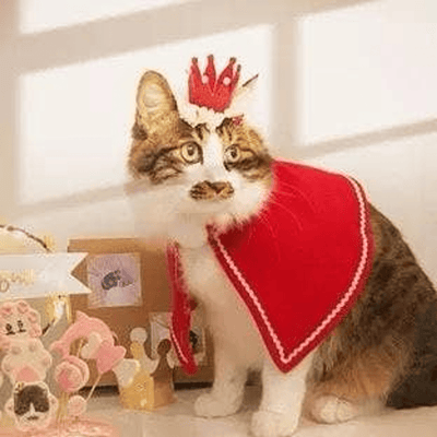 Elegant Merry Christmas Crown for Cats