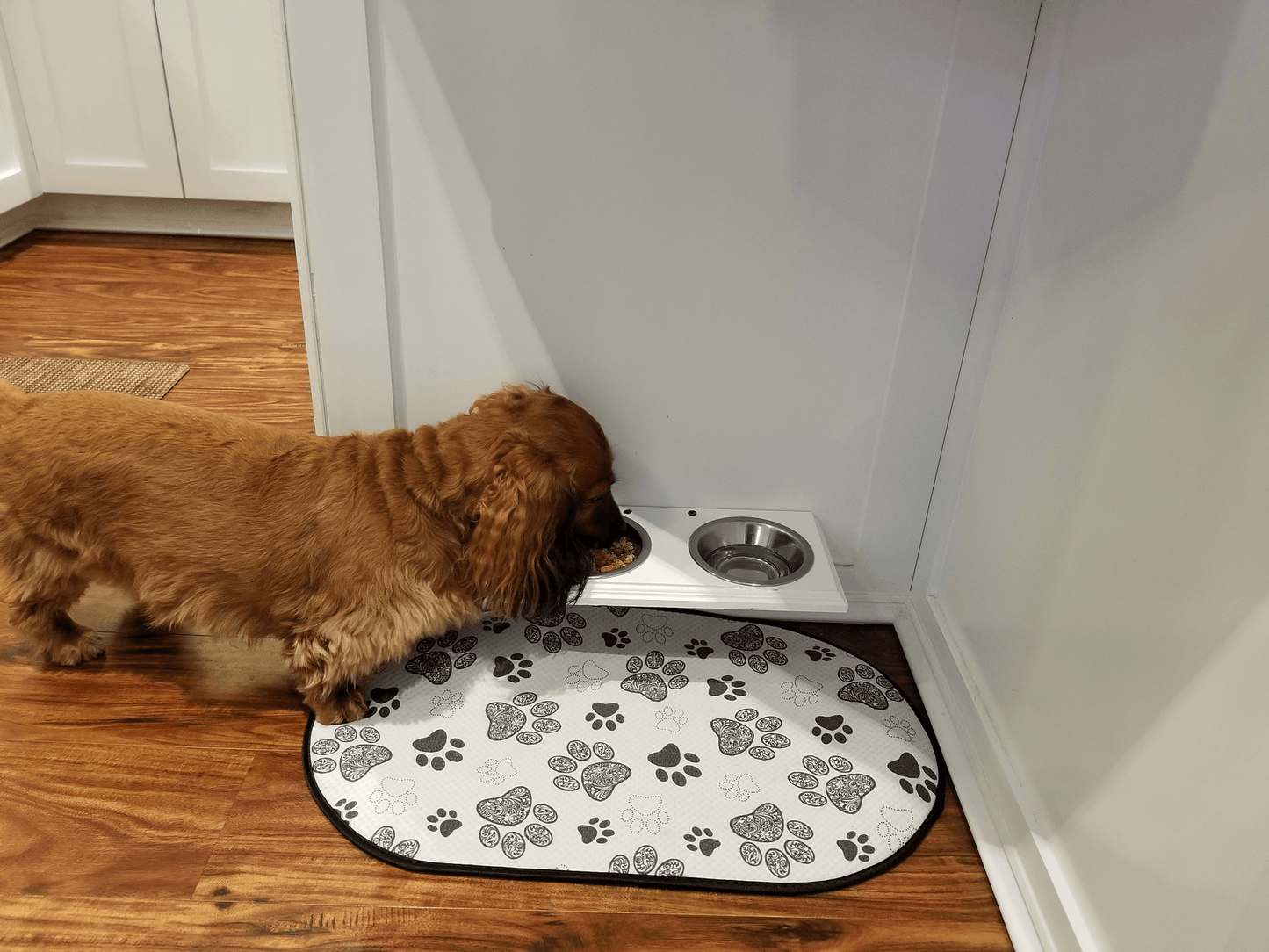 Wall-Mounted Pet Food Holder for Cats and Small Dogs