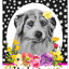 Hhs Paw Prints Welcome Sign - Aluminium - 8" X 12" - Dog Lovers
