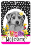 Hhs Paw Prints Welcome Sign - Aluminium - 8" X 12" - Dog Lovers