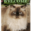 Himalayan Cat Indoor/Outdoor Aluminium Sign