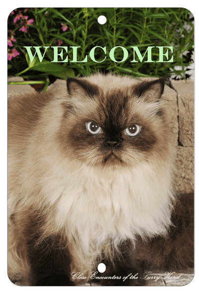 Himalayan Cat Indoor/Outdoor Aluminium Sign