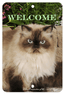 Himalayan Cat Indoor/Outdoor Aluminium Sign