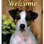 Jack Russell Terrier Indoor/Outdoor Aluminium Sign