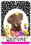 Hhs Paw Prints Welcome Indoor/Outdoor Aluminum Sign - Labrador Chocolate