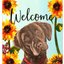 Chocolate Labrador Welcome Indoor/Outdoor Aluminum Sign