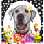 Hhs Paw Prints Welcome Indoor/Outdoor Aluminum Sign For Dog Lovers