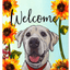 Labrador Yellow/White Welcome Indoor/Outdoor Aluminum Sign