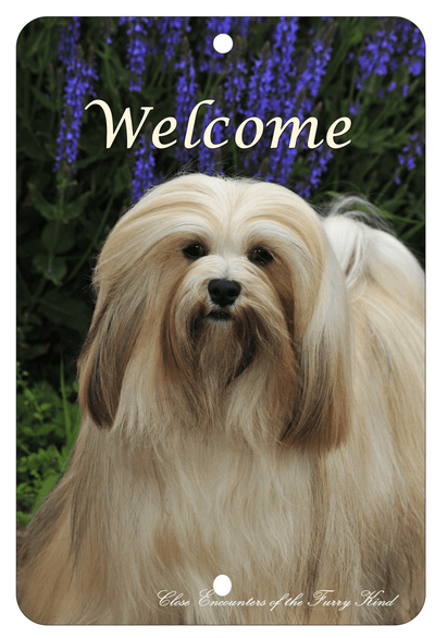 Lhasa Apso Best Of Breed Indoor/Outdoor Aluminum Sign
