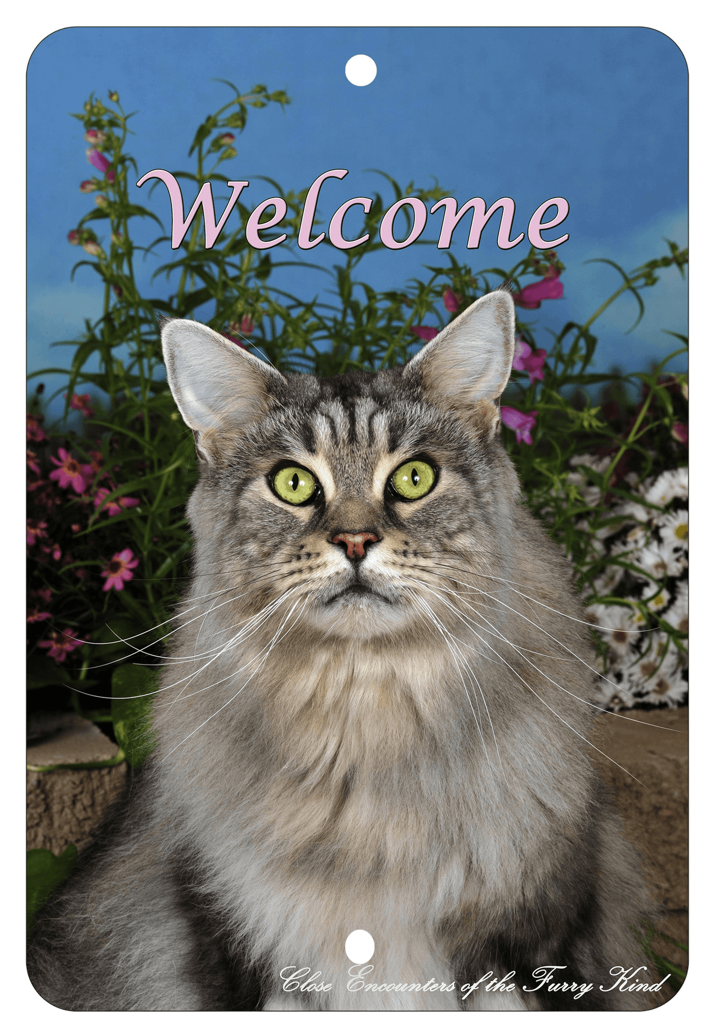Maine Coon Cat Indoor/Outdoor High-Grade Aluminium Sign