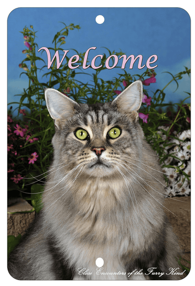 Maine Coon Cat Indoor/Outdoor High-Grade Aluminium Sign