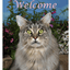 Maine Coon Cat Indoor/Outdoor High-Grade Aluminium Sign