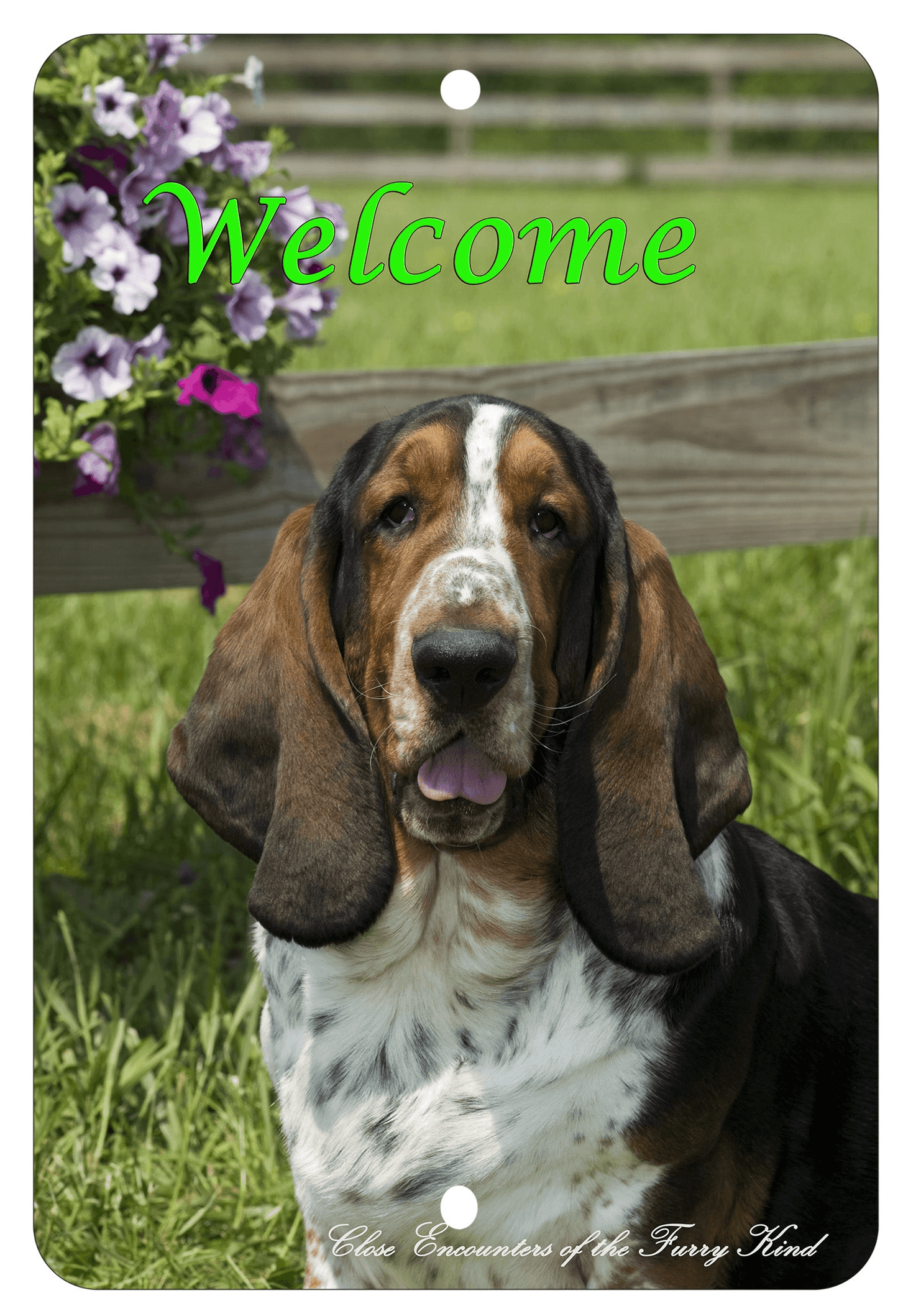 Basset Hound Best Of Breed Indoor/Outdoor Aluminium Sign