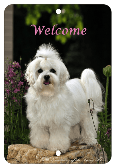 Maltese Best Of Breed Indoor/Outdoor Aluminium Sign